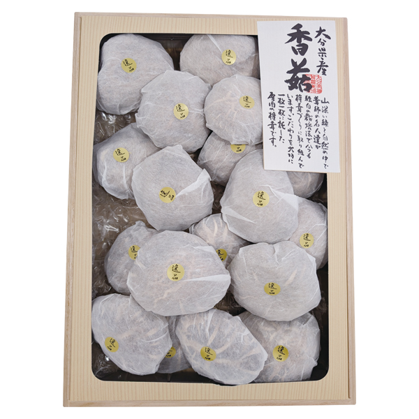 啪ő_Ƌg 啪Yő () i (IP-100)